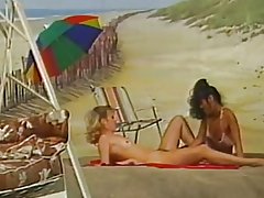 Երկու խաղալիք, խաղում ֆոնի վրա լողափ