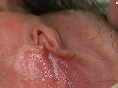 Волосатое սոլո ասիական Պայմանավորվող և թաց